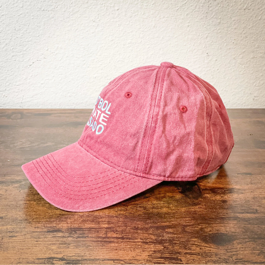 Washed embroidery and Leather Argentina cap Futbol Mate Asado