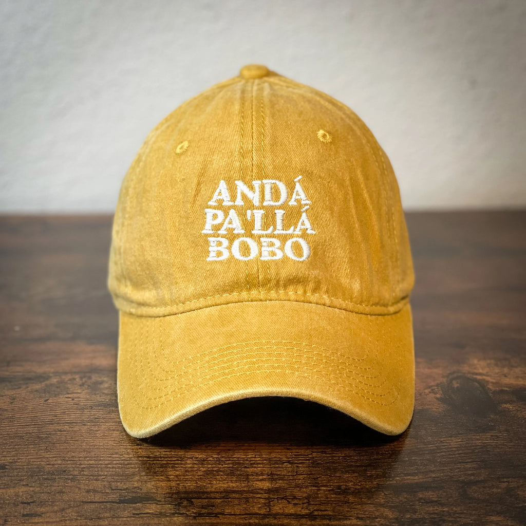 Washed embroidery Argentina dad cap Anda pa'lla bobo