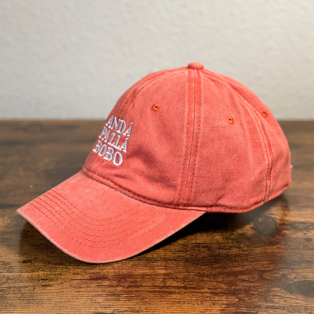 Washed embroidery Argentina dad cap Anda pa'lla bobo