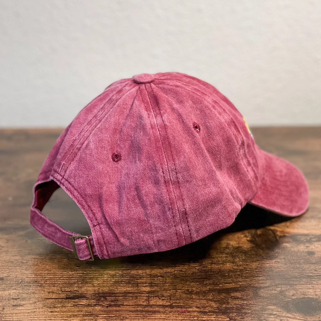 Washed embroidery Argentina dad cap world cup